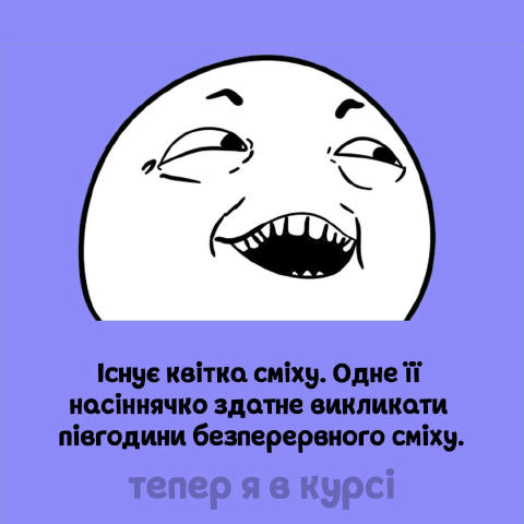 Тепер я в курсі 🧠