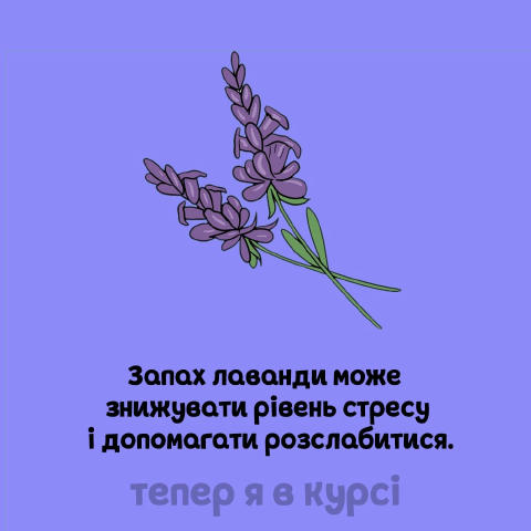Тепер я в курсі 🧠