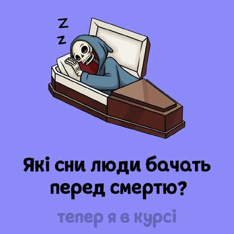 👍 Забавні факти у смішних картинках, які піднімуть настрій та IQ 🧠 Підписуйся на канал ТЕПЕР Я В КУРСІ – тобі точно сподоба