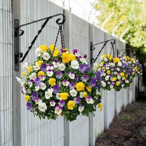 ✅Прекрасні рослини в кашпо🌸 Дача своїми руками🏠|#сад